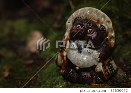 Shigaraki ware cute raccoon dog 85630052