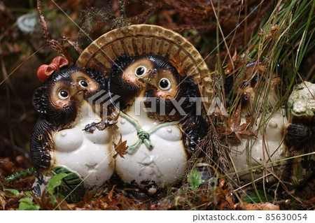 Shigaraki ware good friend raccoon dog 85630054