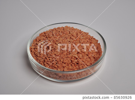 Red Lentils Inside Glass Petri Dish Red Lentils Inside Glass Petri Dish 85630926