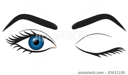 Woman blue eyes hand draw stock vector illustration design Woman blue eyes hand draw stock vector illustration design 85631180