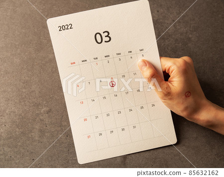 韓國總統選舉形像日歷和女性手 韓國總統選舉形像日歷和女性手 85632162