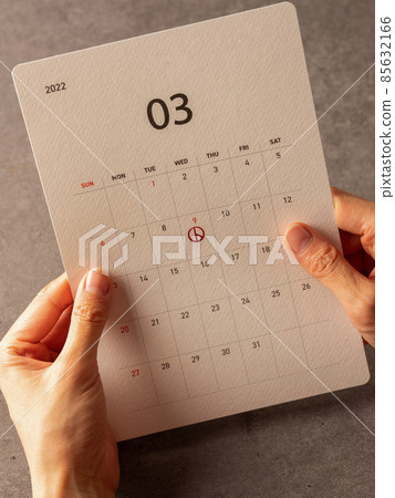 韓國總統選舉形像日歷和女性手 85632166