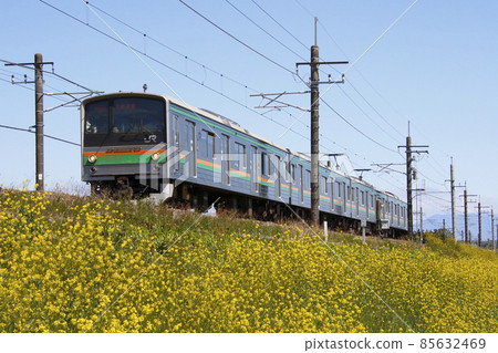 春季宇都宮線 205 系列(宇都宮⇔黑磯:舊埼京線車輛) 春季宇都宮線 205 系列(宇都宮⇔黑磯:舊埼京線車輛) 85632469