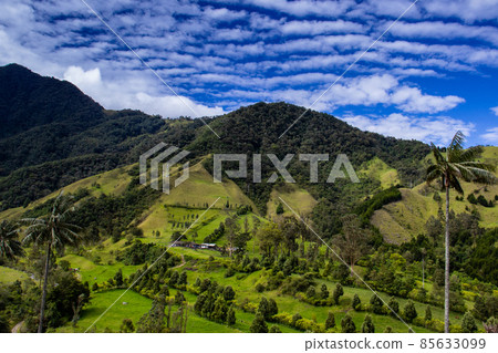 View of the beautiful cloud forest and the Quindio Wax Palms at the Cocora Valley located in Salento in the Quindio region in Colombia 85633099