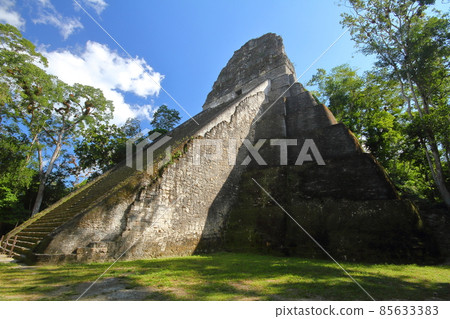 Guatemala Mayan Civilization Ruins Tikal No. 5 Temple 85633383