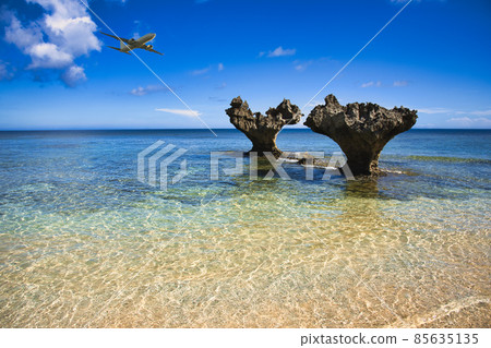 Okinawa's beautiful coral reef sea 85635135