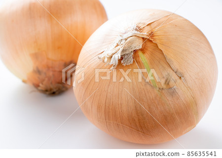 洋蔥。 (白色背景) 洋蔥。 (白色背景) 85635541