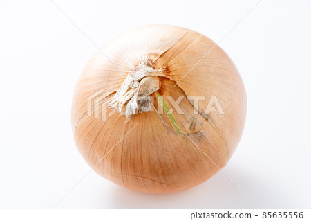 One onion. (White background) One onion. (White background) 85635556