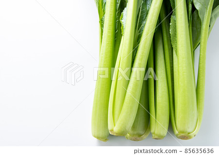 小鬆上來。 (白色背景) 小鬆上來。 (白色背景) 85635636