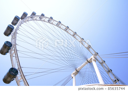 新加坡摩天觀景輪（新加坡） 85635744