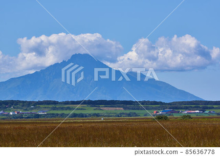 Rishiri Island from Sarobetsu Wilderness, Hokkaido 85636778