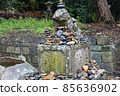 Oarai Isosaki Shrine, a guardian dog piled with stones 85636902