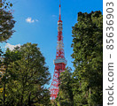 Tokyo Tower and blue sky surrounded by greenery 85636903