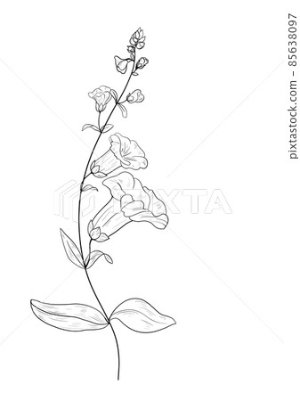 botanical wild flowers line art and garden plants.Hand drawn leaves, pink flowers, herbs and natural elements. For decorations, scrapbooking, cards for birthday, party, baby shower. botanical wild flowers line art and garden plants.Hand drawn leaves, pink flowers, herbs and natural elements. For decorations, scrapbooking, cards for birthday, party, baby shower. 85638097