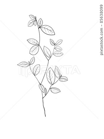 botanical wild flowers line art and garden plants.Hand drawn leaves, pink flowers, herbs and natural elements. For decorations, scrapbooking, cards for birthday, party, baby shower. botanical wild flowers line art and garden plants.Hand drawn leaves, pink flowers, herbs and natural elements. For decorations, scrapbooking, cards for birthday, party, baby shower. 85638099