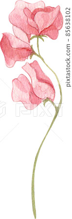 Watercolor botanical wild flowers and garden plants. Hand drawn leaves, pink flowers, herbs and natural elements. For decorations, scrapbooking, cards for birthday, party, baby shower. Watercolor botanical wild flowers and garden plants. Hand drawn leaves, pink flowers, herbs and natural elements. For decorations, scrapbooking, cards for birthday, party, baby shower. 85638102