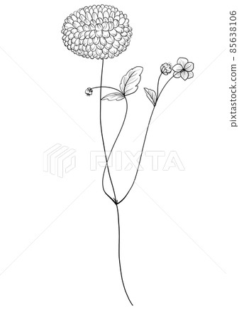 botanical wild flowers line art and garden plants.Hand drawn leaves, pink flowers, herbs and natural elements. For decorations, scrapbooking, cards for birthday, party, baby shower. botanical wild flowers line art and garden plants.Hand drawn leaves, pink flowers, herbs and natural elements. For decorations, scrapbooking, cards for birthday, party, baby shower. 85638106