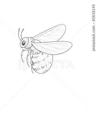 Bee line icon illustration. Graphic logo of insect, simple doodle emblem. Hand drawn honeybee isolated on white background. Bee line icon illustration. Graphic logo of insect, simple doodle emblem. Hand drawn honeybee isolated on white background. 85638145