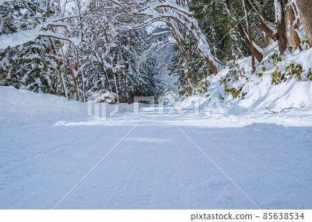 [積雪的道路] 雪隧道 [北安濠郡小谷村] 85638534