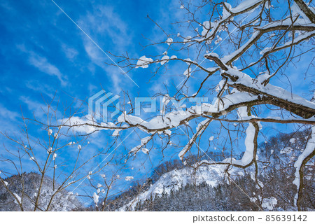 仰望白雪皚皚的天空[小谷村、北安曇郡] 85639142