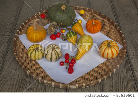 Fall grace Fall grace 85639601