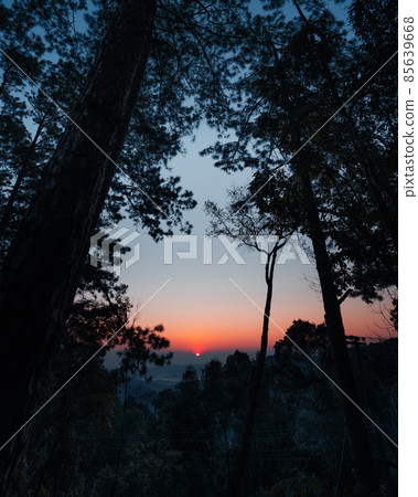 early morning sunrise in the forest early morning sunrise in the forest 85639668