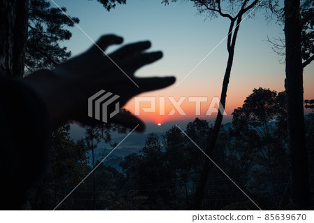 early morning sunrise in the forest early morning sunrise in the forest 85639670