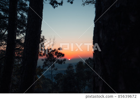 early morning sunrise in the forest early morning sunrise in the forest 85639672