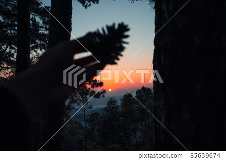 early morning sunrise in the forest early morning sunrise in the forest 85639674