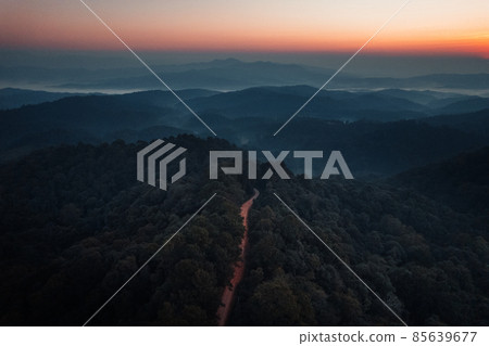 early morning sunrise in the forest early morning sunrise in the forest 85639677