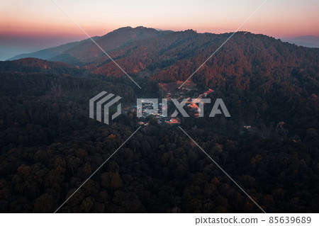 early morning sunrise in the forest 85639689