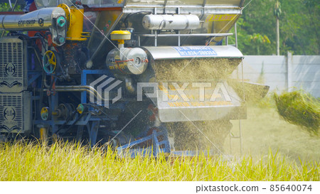 Tractor rice car working on dry or ripe rice paddy, crop field, harvesting agriculture manufacturer cultivation production. Nature environment landscape. Industry in farm in Thailand Tractor rice car working on dry or ripe rice paddy, crop field, harvesting agriculture manufacturer cultivation production. Nature environment landscape. Industry in farm in Thailand 85640074