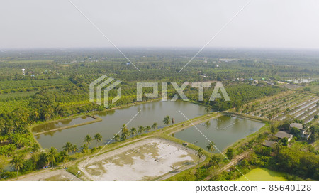 Aerial top view of lush green trees from above in tropical forest in national park in summer season. Natural landscape. Pattern texture background. Aerial top view of lush green trees from above in tropical forest in national park in summer season. Natural landscape. Pattern texture background. 85640128