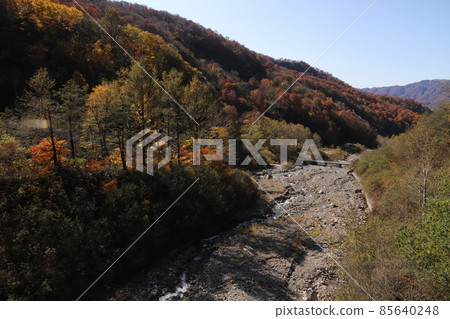 Hakusan Trailhead / Betsutoai Autumn Leaves and Mountain Range (Hakusan City, Ishikawa Prefecture) Hakusan Trailhead / Betsutoai Autumn Leaves and Mountain Range (Hakusan City, Ishikawa Prefecture) 85640248