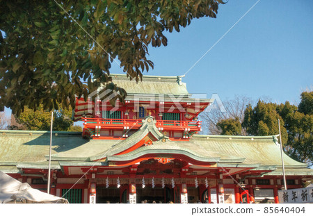 東京富岡八幡宮主神社 東京富岡八幡宮主神社 85640404