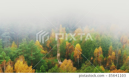 Aerial View 4K Flight Above Amazing Misty Forest Landscape. Scenic View Of Autumn Foggy Morning In Misty Forest Park Woods. Nature Elevated View Aerial View 4K Flight Above Amazing Misty Forest Landscape. Scenic View Of Autumn Foggy Morning In Misty Forest Park Woods. Nature Elevated View 85641103