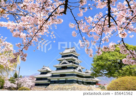 城堡松本和城堡塔 85641562