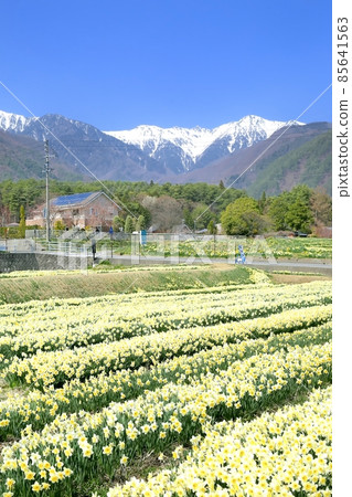 迪斯科和中阿爾卑斯山 85641563