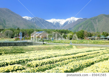 迪斯科和中阿爾卑斯山 85641565