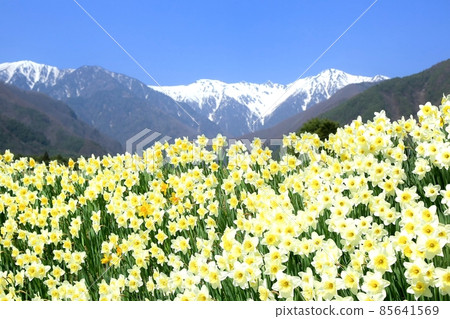Disco and Central Alps 85641569