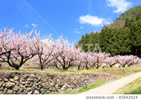 Matsushiro / Kyou no Sato Matsushiro / Kyou no Sato 85642024