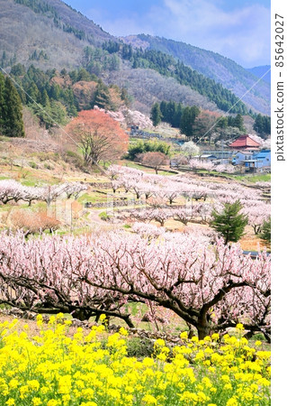 Matsushiro / Kyou no Sato Matsushiro / Kyou no Sato 85642027