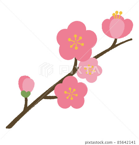 桃花 桃花 85642141