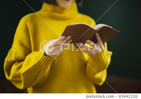 A knitted woman reading a book A knitted woman reading a book 85642220