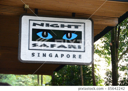Night Safari Singapore 85642242