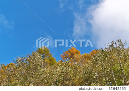 Kiso Mt. Ontake Kiso Mt. Ontake 85642263