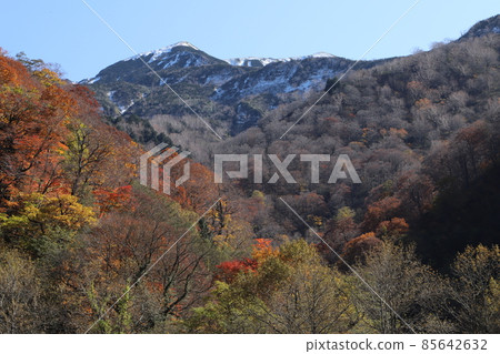 白山登山入口、紅葉和雪山(石川縣白山市) 白山登山入口、紅葉和雪山(石川縣白山市) 85642632