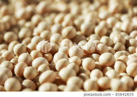 Soybean soybean Soybean soybean 85642655