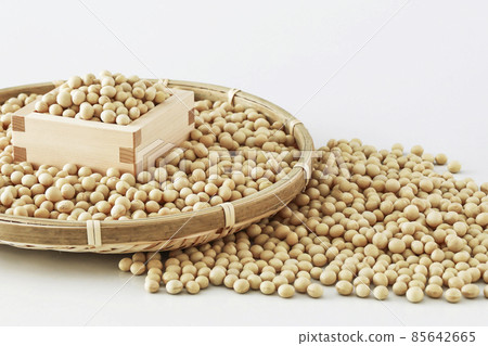 大豆大豆 85642665