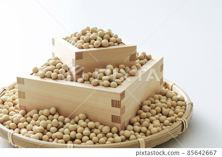 Soybean soybean Soybean soybean 85642667